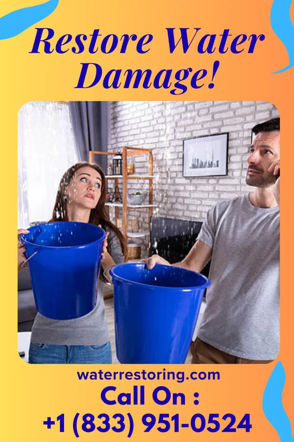 water restoration Citywide Water Mitigation Inc North Conway